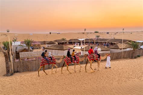 Top 18 FAQs of Desert Safari Dubai in 2024 - Dubai Desert Safari