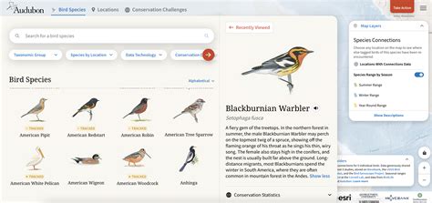 See how migrating birds connect the world | Popular Science