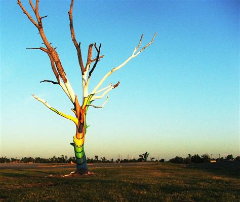 Joplin Tornado-Spirit Tree | Joplin tornado, Weather storm, Joplin