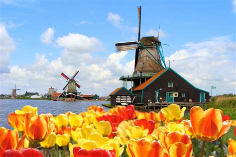 viajar a holanda | Dutch windmills, Zaanse schans windmills, Day trips from amsterdam