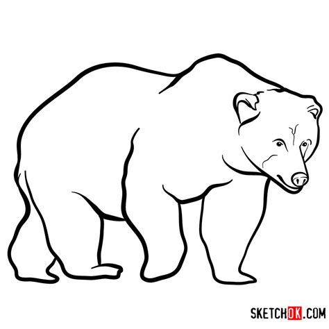 How to draw Wild Animals - Sketchok easy drawing guides