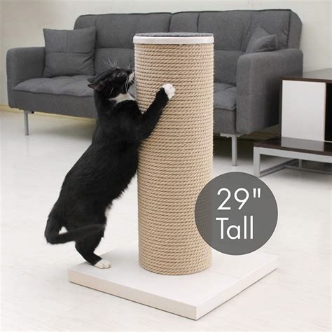 Cat Scratching Posts For Large Cats at Catrina Ward blog