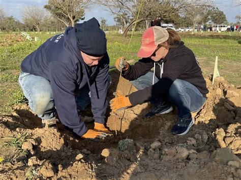 Planting trees at Israel’s ground zero - JNS.org