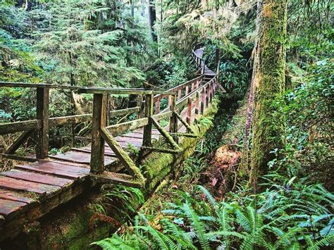 Exploring Pacific Rim National Park Reserve | British Columbia travel inspiration