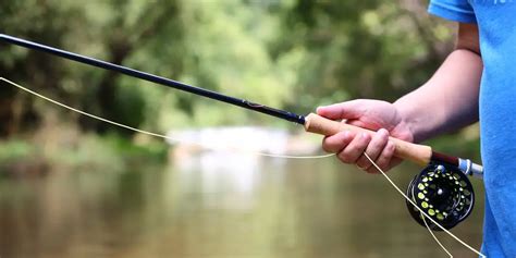 fly fish rod,Save up to 17%,www.ilcascinone.com