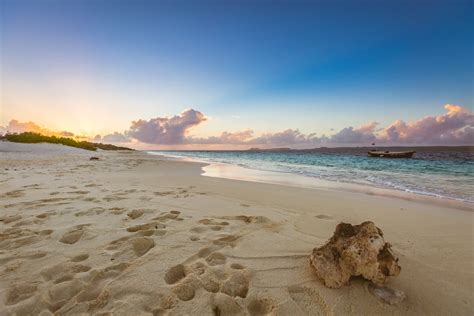 Cruising the ABC Islands: Bonaire | NCL Travel Blog