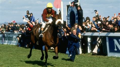 Three-time Grand National hero Red Rum made his debut - on the Flat | Horse Racing News | Racing ...