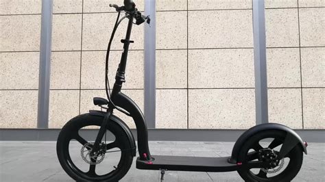 2020 New 36v 250w Big Wheels Folding Electric Scooter For Adults - Buy Big Wheels Electric ...