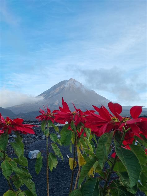 Exploring The Volcanic Soul of Cape Verde: A 7-Day Itinerary