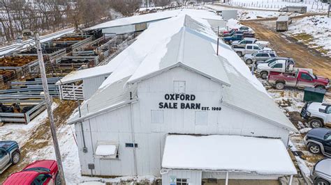 Feeder Cattle Auctions - Photo Gallery | Oxford Sale Barn - Iowa