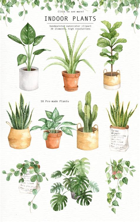 Indoor Plants Watercolor Clipart, Watercolour Leaves, Watercolor Flower ...