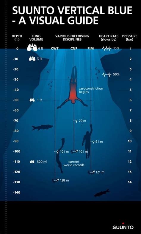 The key depths of freediving all in one cool little graphic. Thanks Suunto | Diving equipment ...