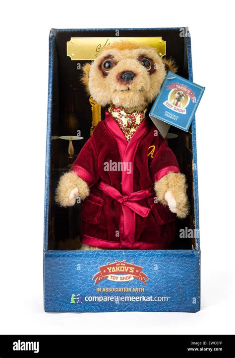 Aleksandr the meerkat Cut Out Stock Images & Pictures - Alamy