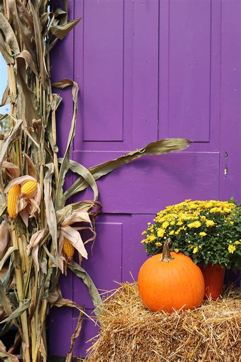 Fall Porch Decorating Ideas | The Dirt Blog | Stauffers