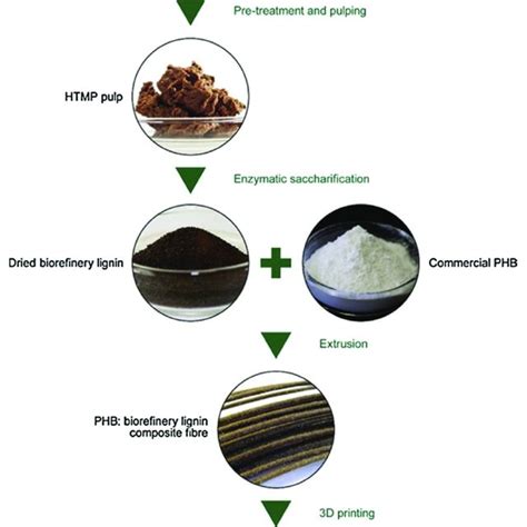 (PDF) Lignin to Materials: A Focused Review on Recent Novel Lignin ...