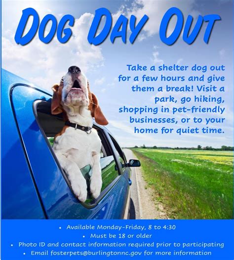 Dog Day Out Adventure! | Burlington, NC - Official Website