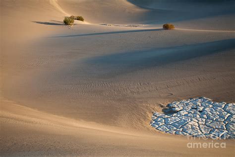 Death Valley After A Rain Shower Photograph by Olivier Steiner