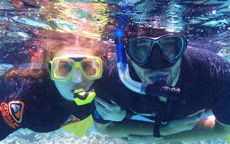 The Best Snorkeling Spots In Cairns And Port Douglas – DesertDivers