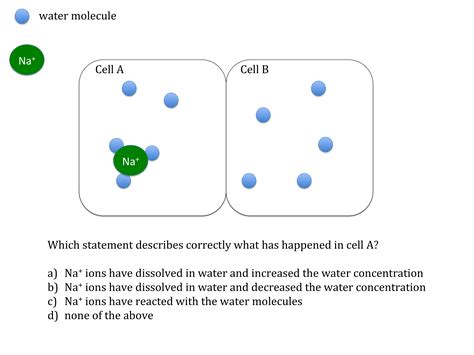 Diffusion And Osmosis Problems Worksheet Answer Key - Cells Diffusion ...