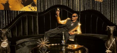 Rapper Snoop Dogg dabbles in wine with Australian label 19 Crimes ...