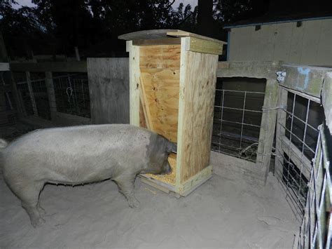 Pig Feeder | Pig feeder, Pig farming, Pig