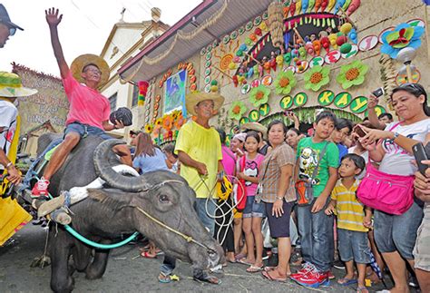 700 carabaos join Bulacan festival | Nation, News, The Philippine Star | philstar.com