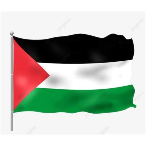 bendera Palestina ukuran 55x85 | Lazada Indonesia