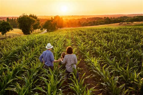 Under the USDA's Definition, 90 Percent of Iowa's Farms Are "Family Farms" - Modern Farmer