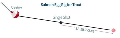 Trout Fishing with Salmon Eggs | Rod And Reel Guide