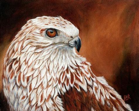 Red Tailed Hawk by Barbara Ann Robertson | Hawk painting, Red tailed ...