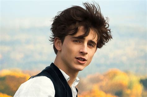 Little Women Timothee Chalamet Wallpapers - Wallpaper Cave