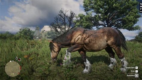 Red Dead Redemption 2 Horses Mods