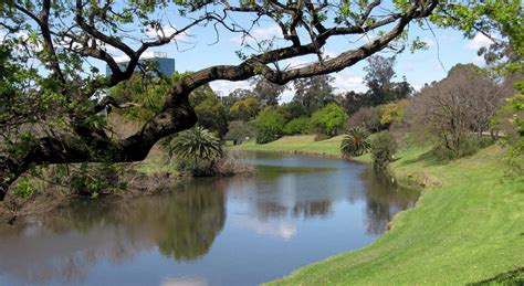 Parramatta Park (2) | Our Walks