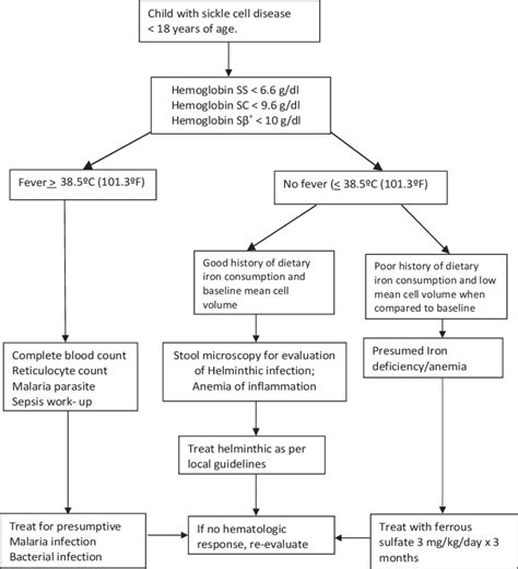 Approach to the diagnosis of relative anemia in patients with sickle... | Download Scientific ...