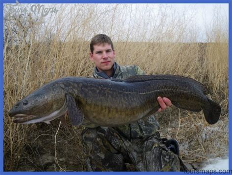 Fishing: Cusk - ToursMaps.com