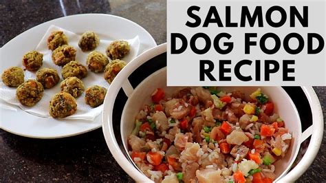 Salmon Dog Food and Treats Recipes - Easy and Healthy - YouTube