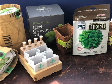 These Indoor Herb Gardening Kits Will Completely Change Your Summer Meals