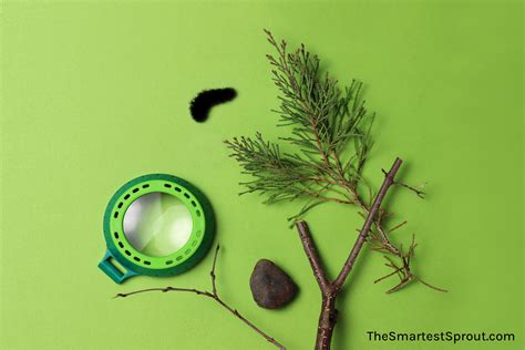 Preschool Science Toys: 6 Remarkable Learning Toys for Little Ones