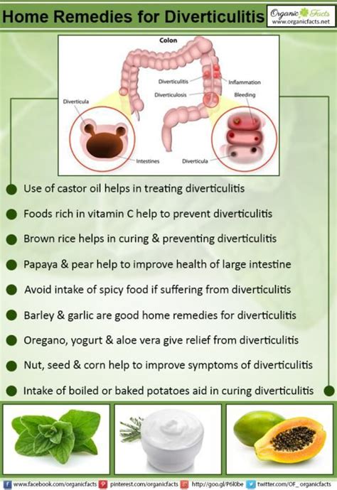 Printable Diverticulosis Diet Handout - Customize and Print