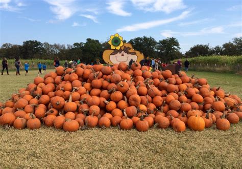 Austin’s Top 10 Fall Activities Guide: Pumpkin Patch List + More ...