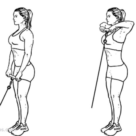 Cable Upright Row by Nicole T. - Exercise How-to - Skimble