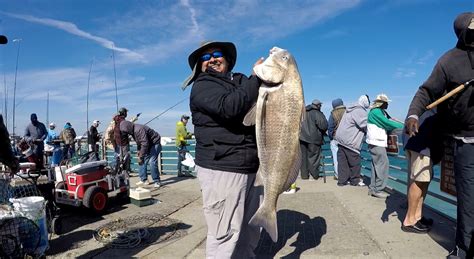 On Foot Angler: Sebastian Inlet Report