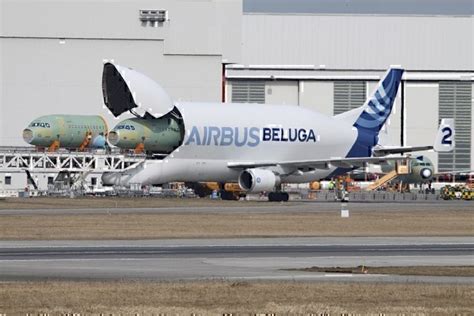 Airbus Beluga Vs Boeing Dreamlifter - Which Fuselage Transporter Is Better? - Simple Flying