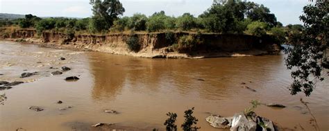 Excessive exploitation of Mara River Basin as a threat to the Great ...