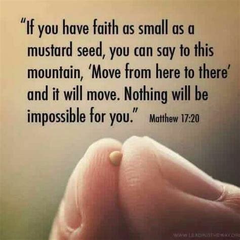 Faith as small as a mustard seed Biblical Quotes, Religious Quotes, Verse Quotes, Bible Verses ...