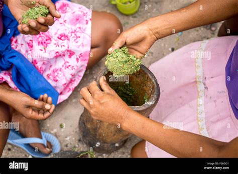 San people making food and eating it in Botswana, Africa Stock Photo ...