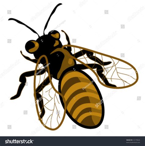 Vector Honey Bee - 12179626 : Shutterstock