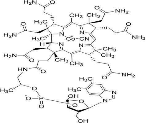 Chemical structure of vitamin B12 | Download Scientific Diagram