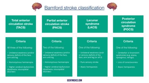 Stroke classification | Geeky Medics