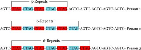 Figure 1 from Forensic DNA Profiling: Autosomal Short Tandem Repeat as a Prominent Marker in ...